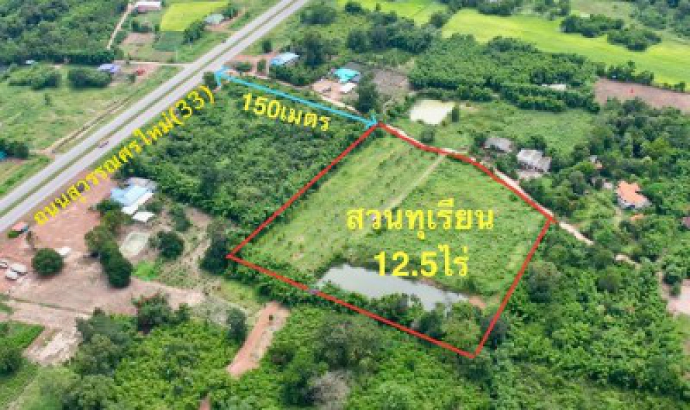 ขายสวนทุเรียน  12.5 ไร่  ตำบลโนนห้อม อำเภอเมือง จังหวัดปราจีนบุรี