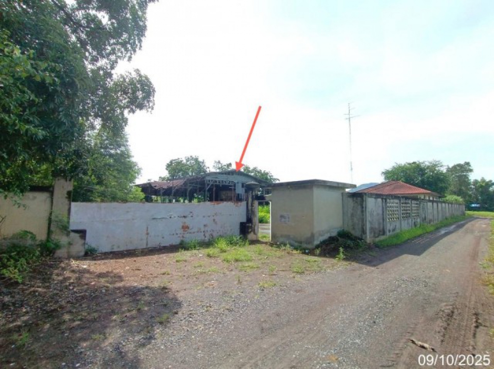 ขายโรงงาน พิจิตร ถนน สายตลิ่งชัน ตำบล วังงิ้ว อำเภอ ดงเจริญ จังหวัด พิจิตร