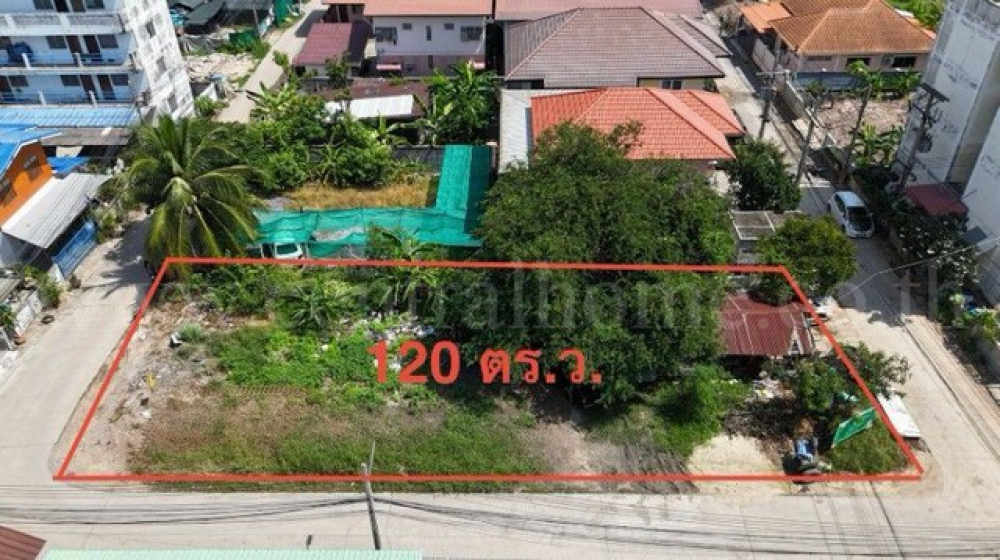 ให้เช่า ที่ดิน ซอยเรณูอุทิศ ลาดหลุมแก้ว 120 ตารางวา ติดถนน 3 ด้าน ห่างถนนใหญ่เพียงประมาณ 100 เมตร