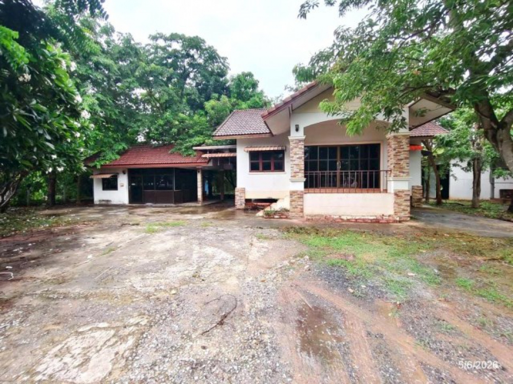 ขายบ้านเดี่ยว ชัยภูมิ ถนน สายบ้านช่อระกา-บ้านหนองแวง ตำบล นาฝาย อำเภอ เมืองชัยภูมิ จังหวัด ชัยภูมิ