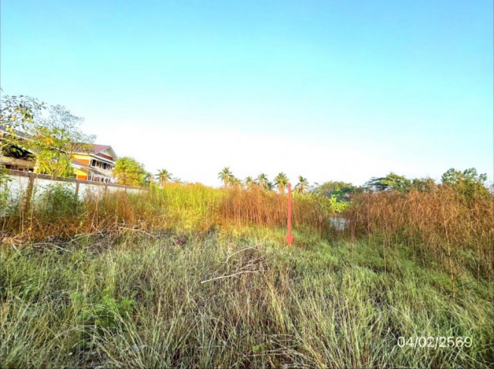 ขายที่ดินสมุทรสาคร  2 ไร่ อำเภอบ้านแพ้ว ถนน ประตูน้ำบางยาง - หนองนกไข่